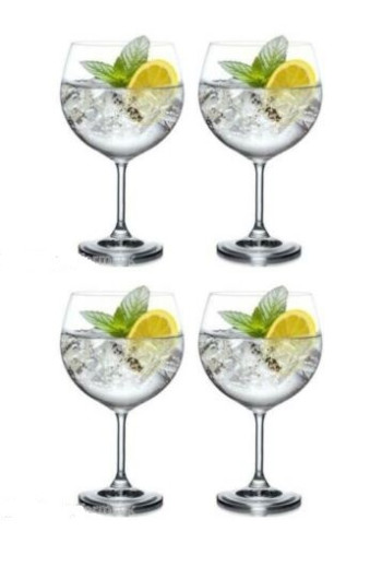 COUPE  MAXIMA GIN TONIC 20 cc